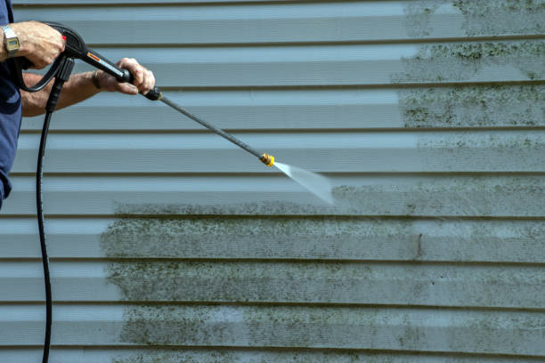 Best Dumpster Area Cleaning  in Round Lake Beach, IL