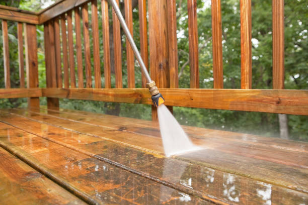 Best Spring Cleaning  in Round Lake Beach, IL